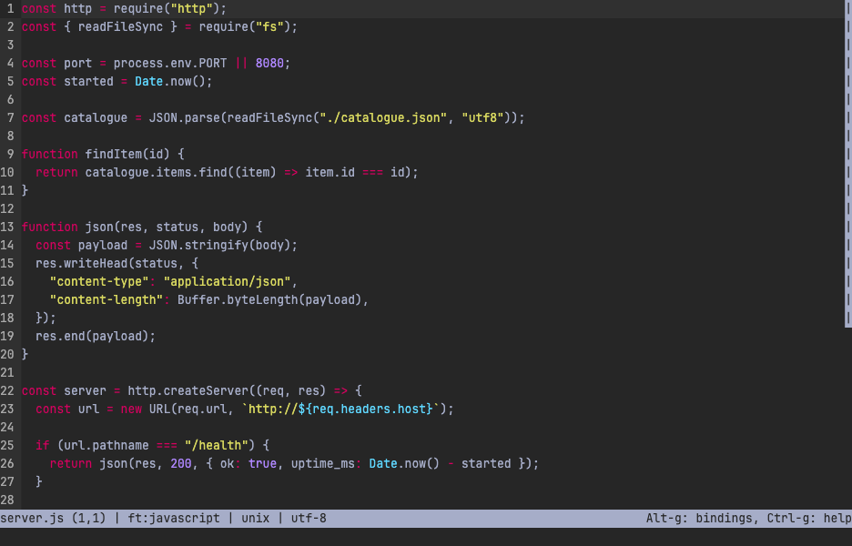 micro running in the terminal