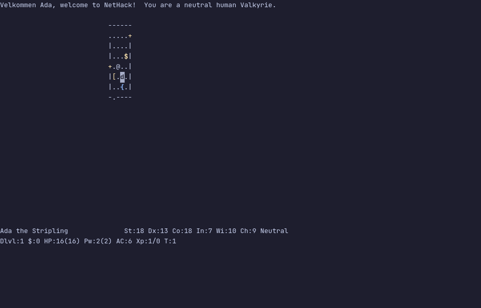 NetHack running in the terminal